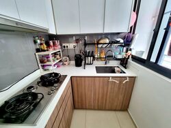 Riverbank @ Fernvale (D28), Condominium #332715481